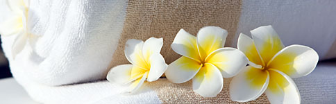 Sauna In Plau am See