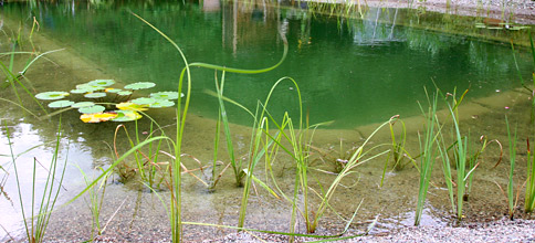 Schwimmteich in Plau am See