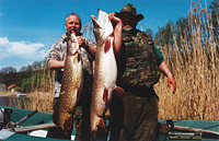 Angeln in Plau am See - Urlaub in Meckpom