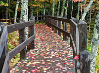 Wandern in Plau am See