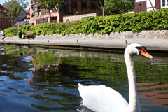 Natur Pur - Urlaub in Meckpom